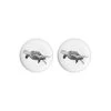 Maxwell & Williams Plate - Green Sea Turtle - Pack Of 2
